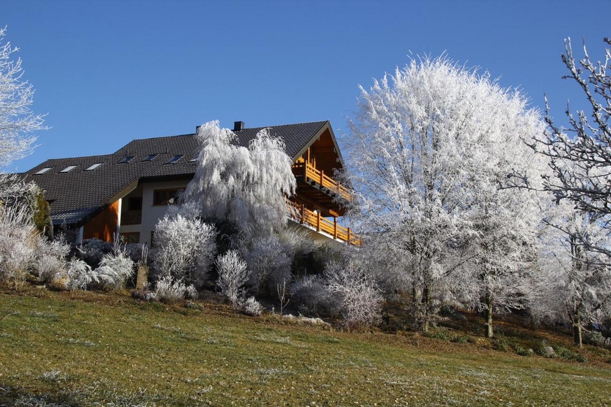 Haus Am See Illmensee Exterior foto